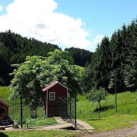 Ferienwohnung Ringwald Biederbach Exterior foto