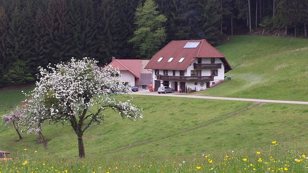 Ferienwohnung Ringwald Biederbach Exterior foto